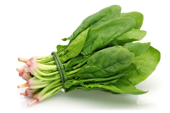Spinach (1 Bunch)