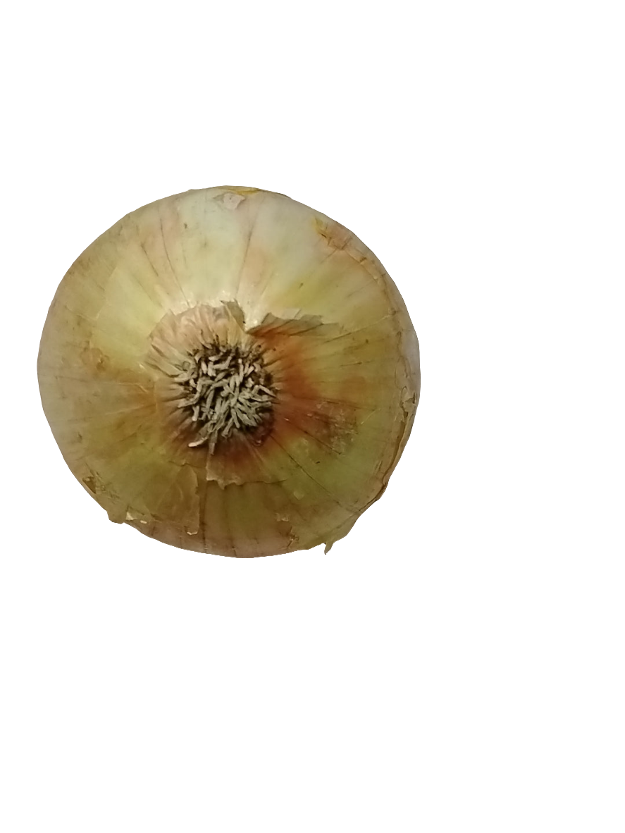 Yellow Onions (SINGLE)