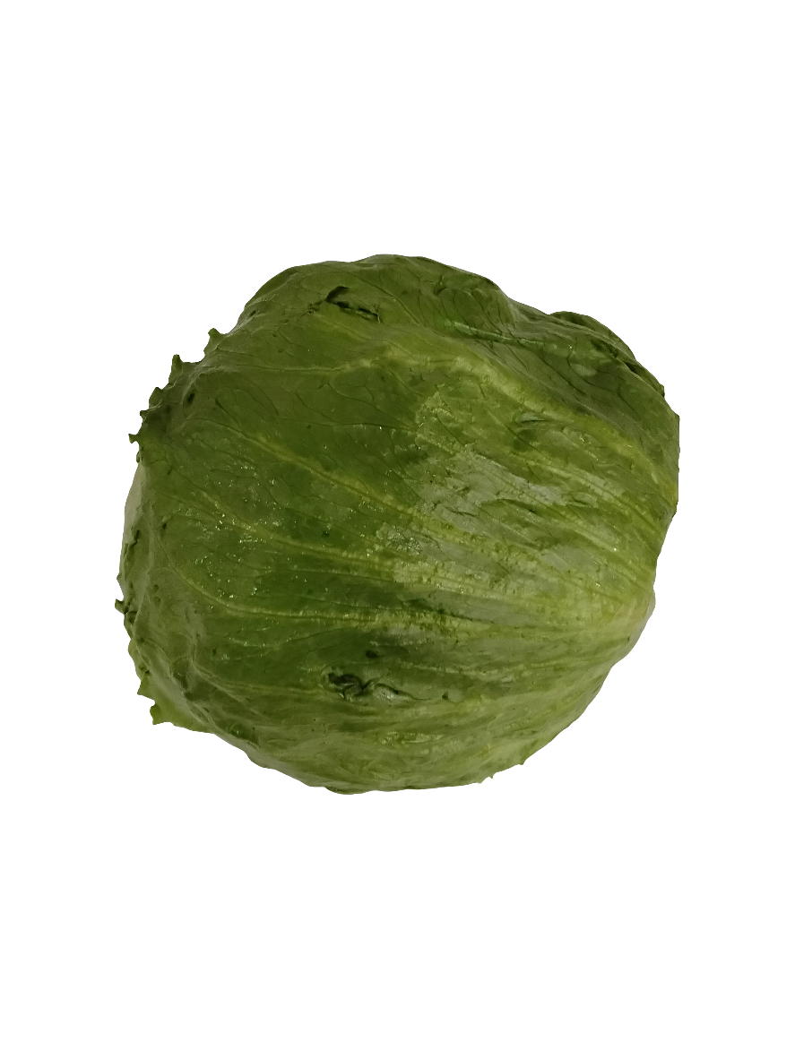 head of lettuce