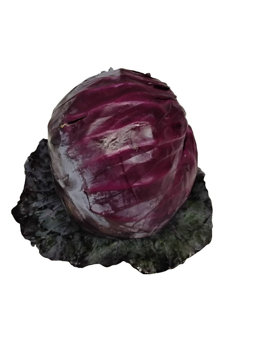 Red Cabbage