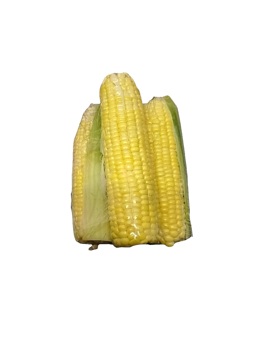 Yellow Corn x3