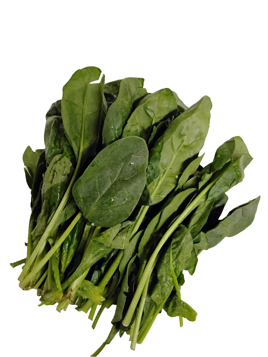 Spinach (1 Bunch)
