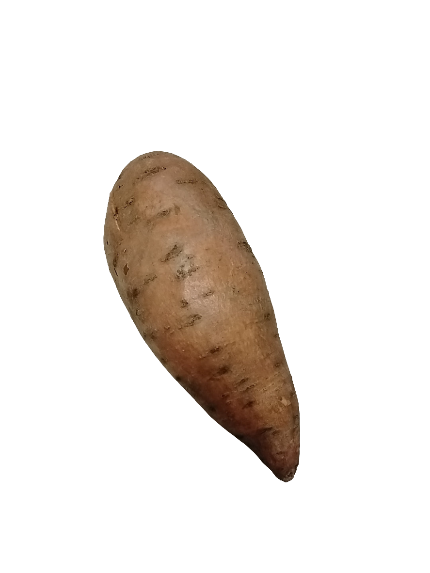 Sweet Potato (SINGLE) large.