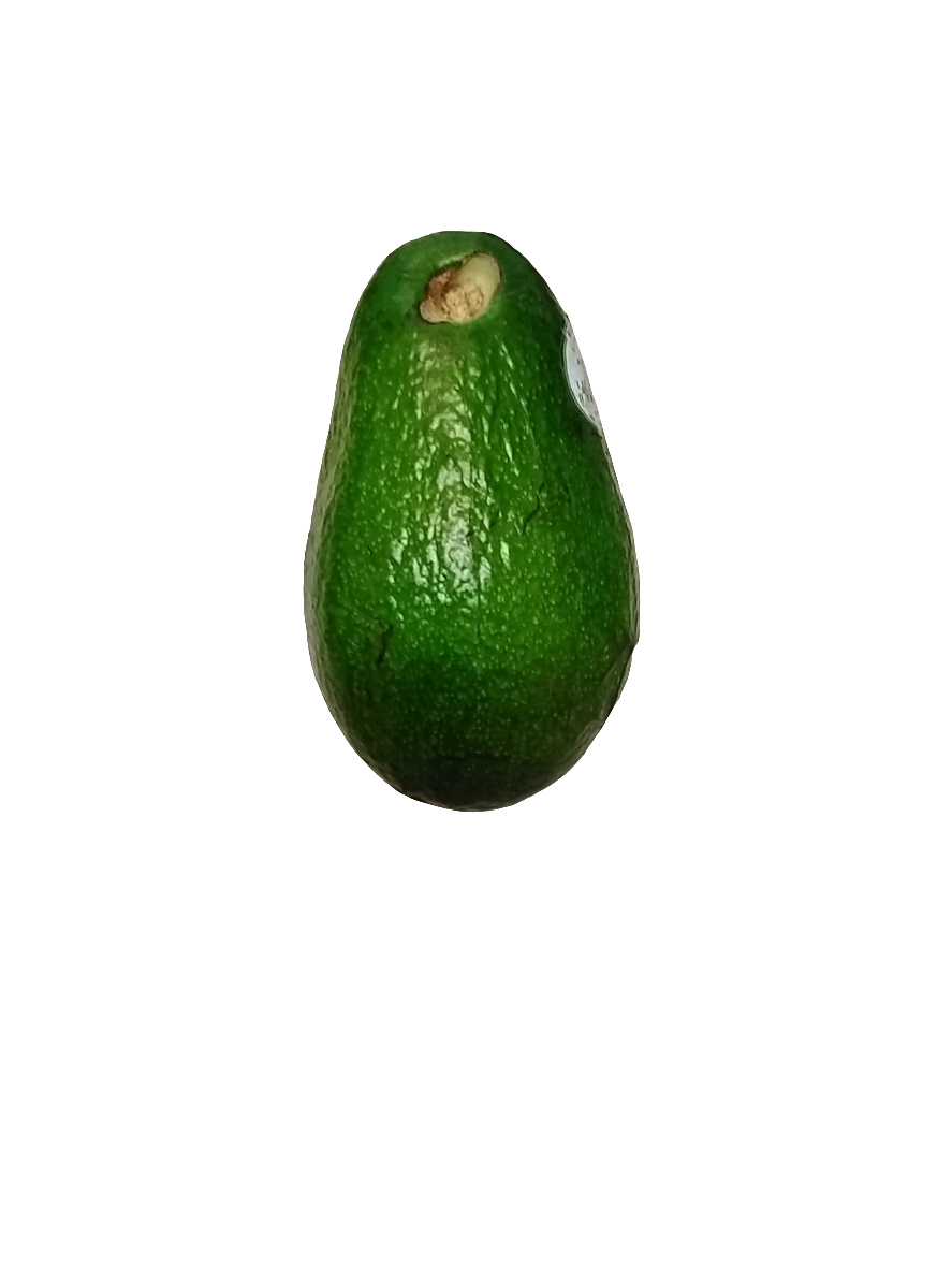 florida avocado single