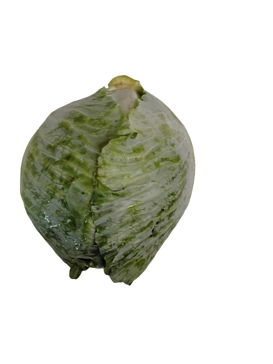 Cabbage.