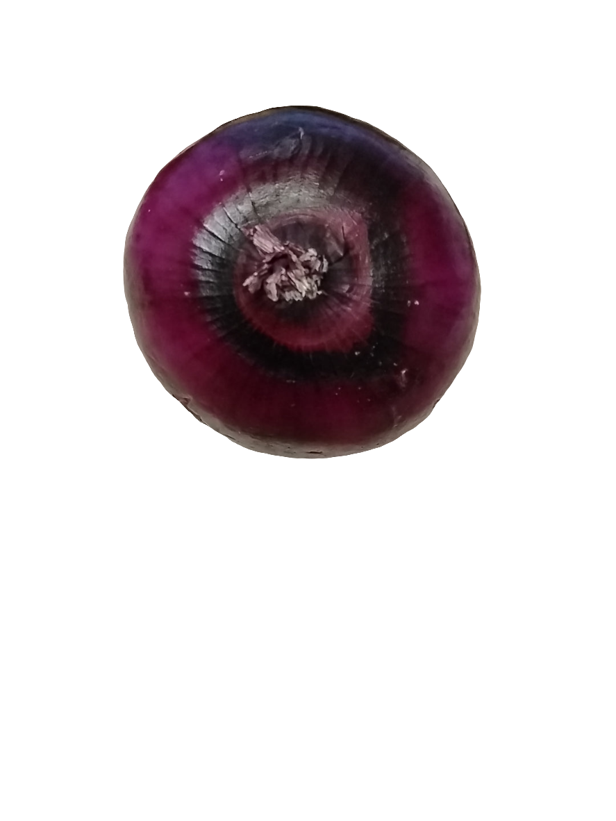 Red Onions (SINGLE)