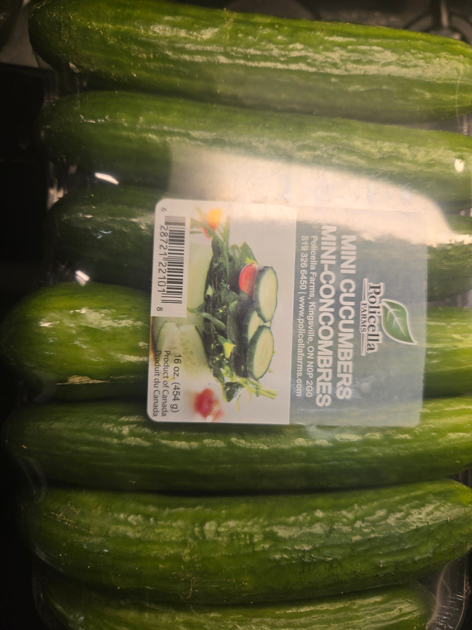 MINI CUCUMBERS 6 PK