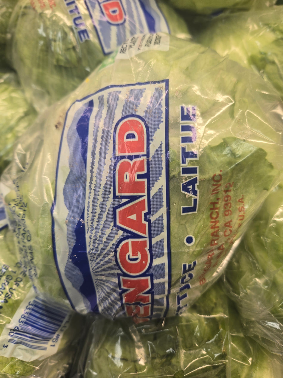 head of lettuce