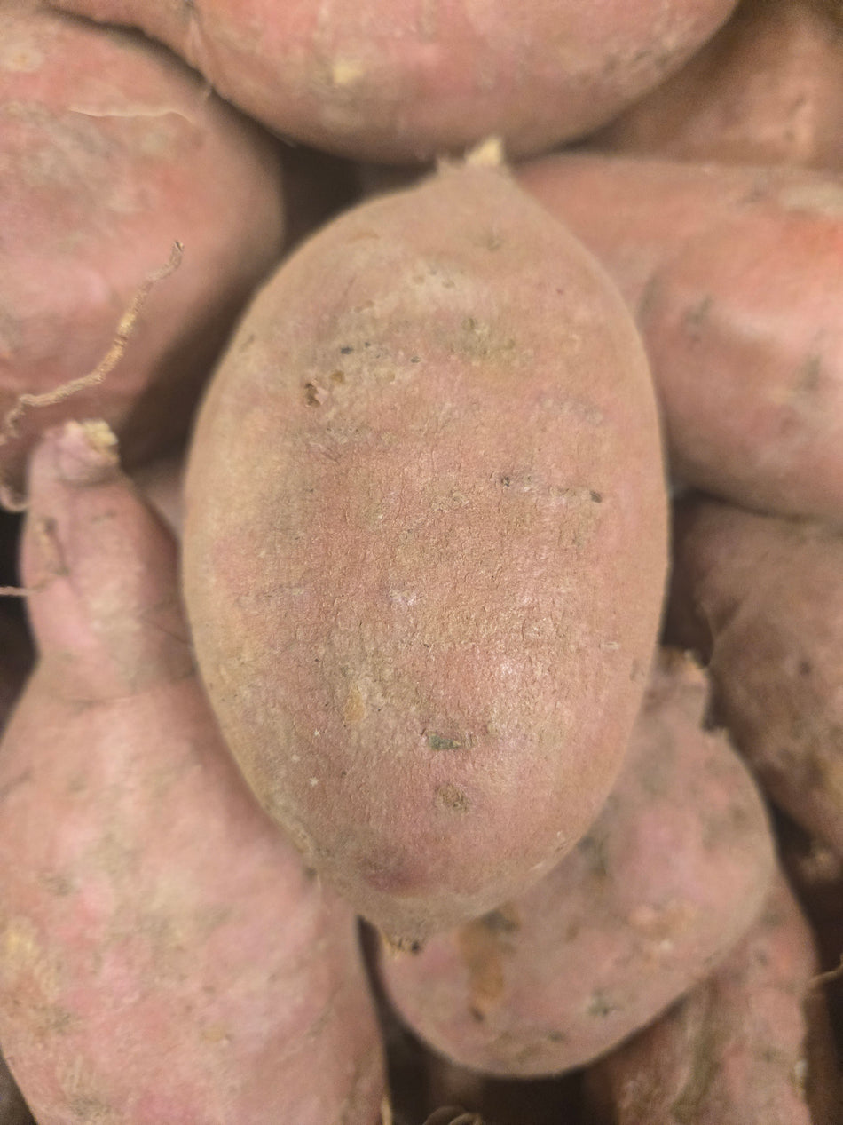 Sweet Potato (SINGLE) large.